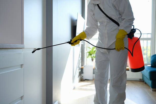  Clarksburg, MD Mold Removal Pros