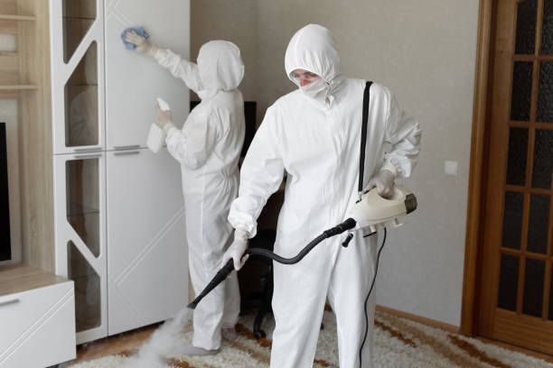 Best Professional Mold Removal  in Clarksburg, MD