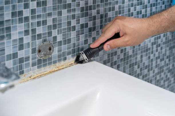 Best Office Mold Removal Services  in Clarksburg, MD