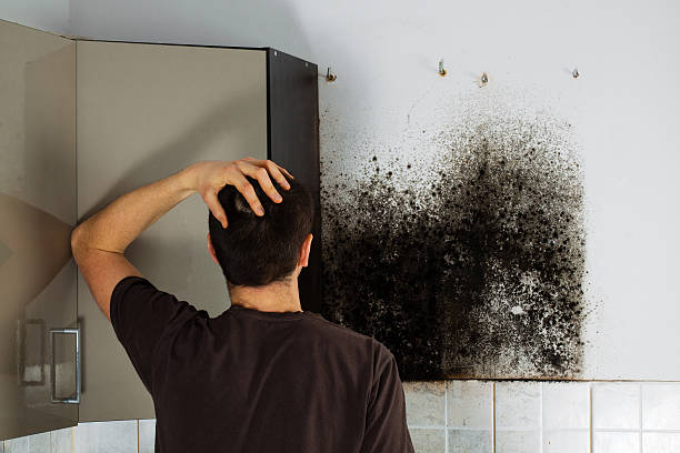 Mold Removal and Inspection in Clarksburg, MD