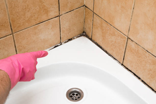 Home Mold Removal in Clarksburg, MD